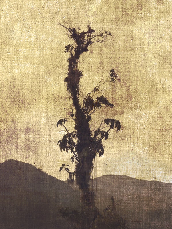MOUNTAIN AND TREE