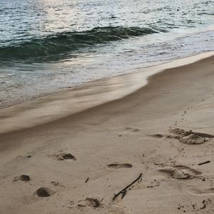 AREIA, MAR E GALHOS