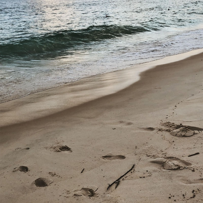 AREIA, MAR E GALHOS