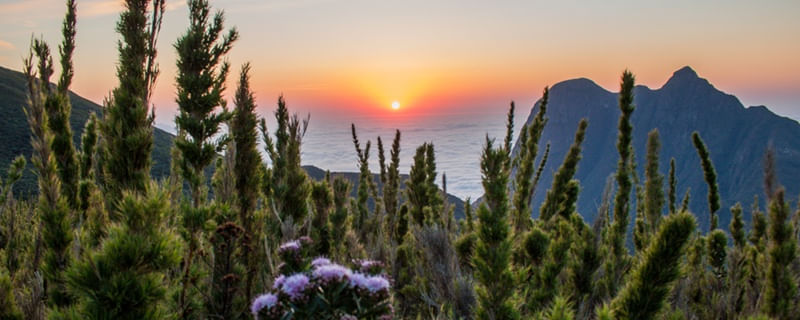 PICO ITAPIROCA