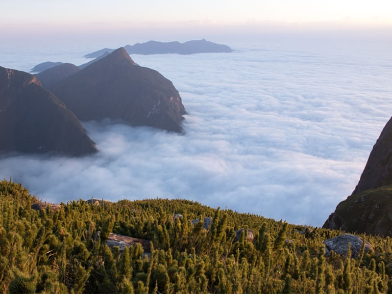 PICO PARANÁ