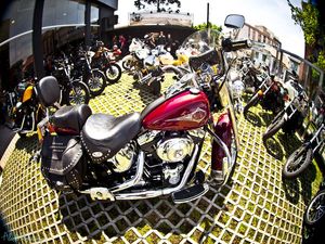 HARLEY-DAVIDSON CLUB 3