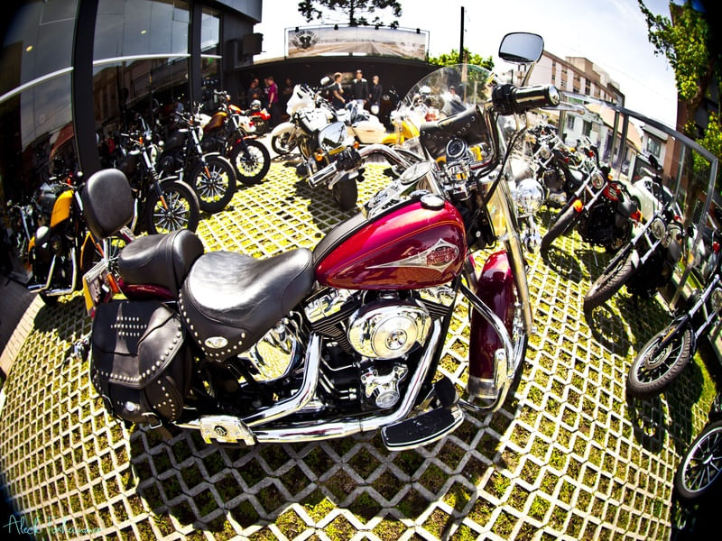 HARLEY-DAVIDSON CLUB 3