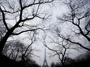 TORRE