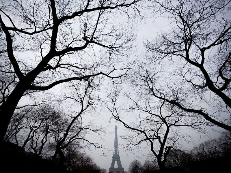TORRE