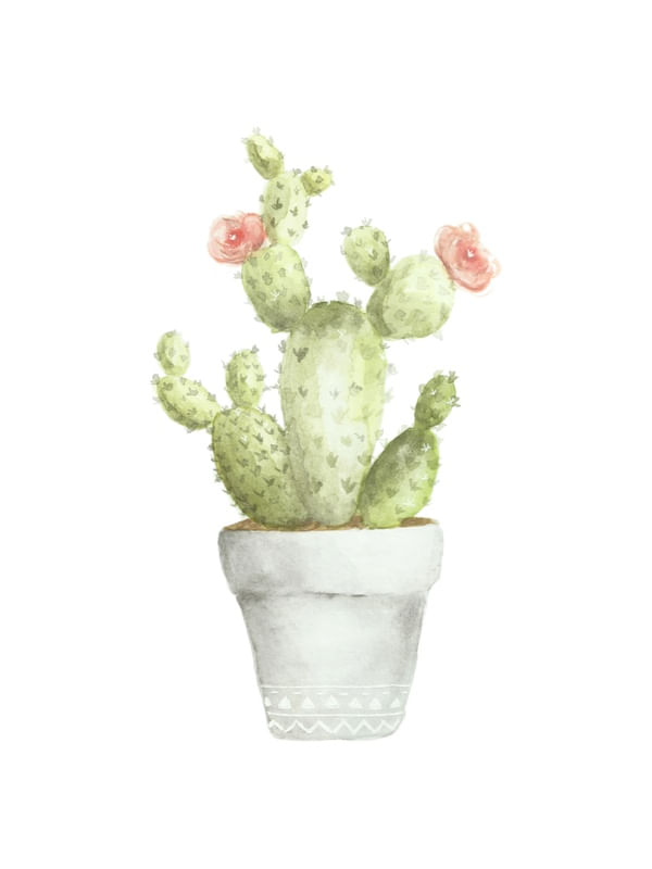 CACTO FLORIDO EM AQUARELA