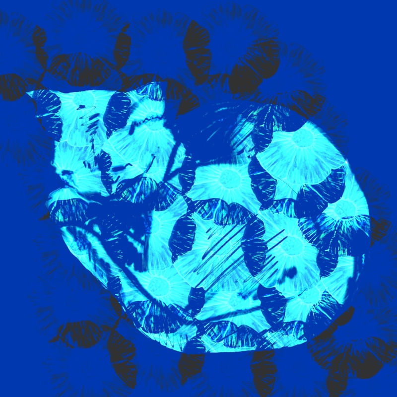 GATO DEITADO AZUL
