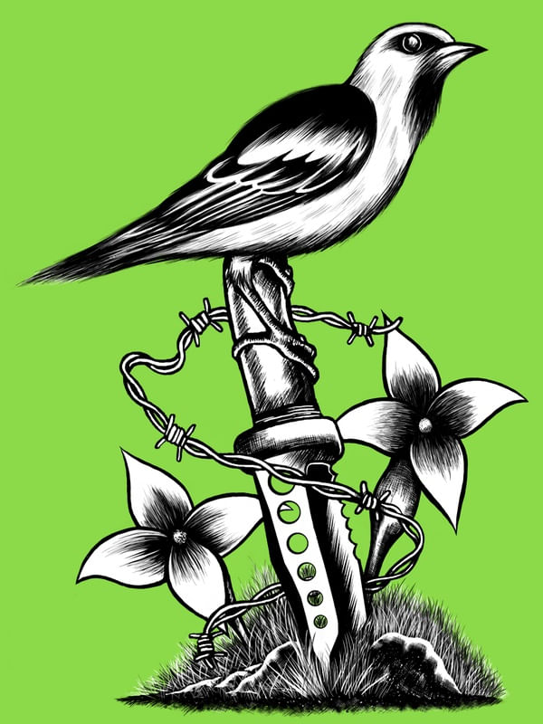 BIRD'S HOPE