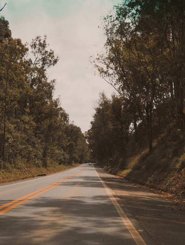 RUA ASFALTADA COM ÁRVORES AO REDOR