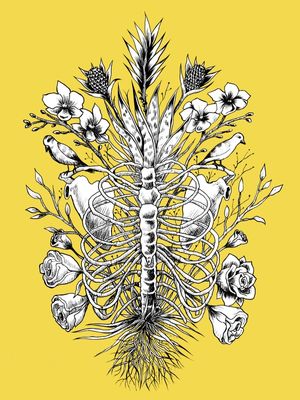 NATUREZA MORTA ENTRE A VIVA