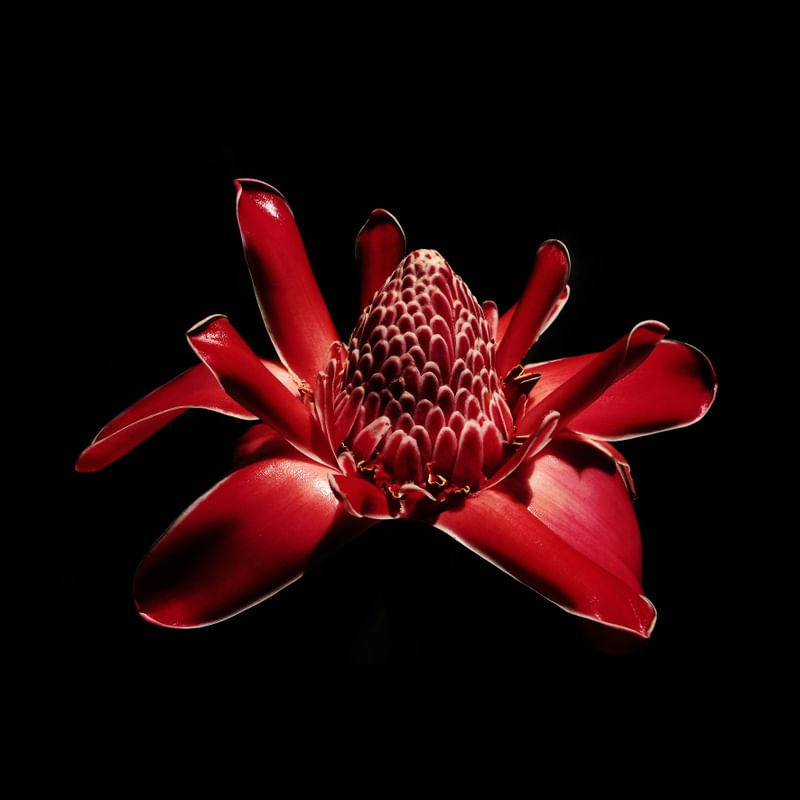 NATUREZA COR 078 LVD