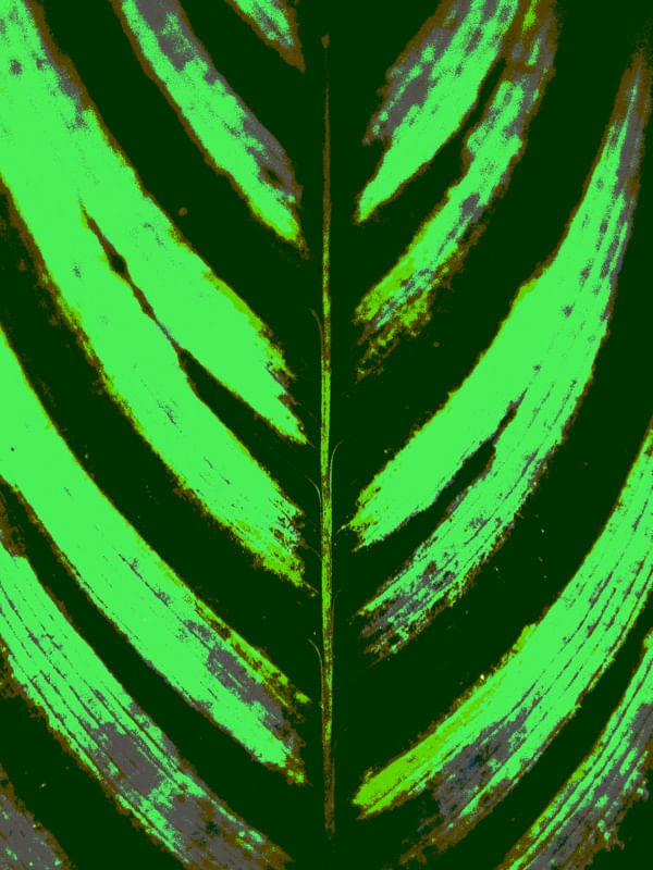 NATUREZA COR 072 LVD