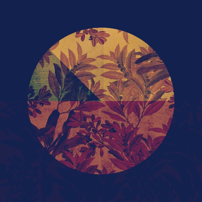 CIRCLE LEAVES 012