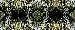 PHLORAL 03