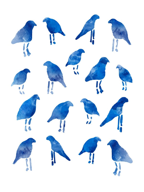 WATERCOLOR BLUE BIRDS