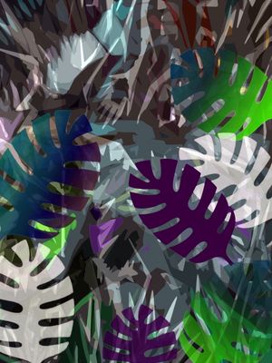MONSTERA DELICIOSA 11