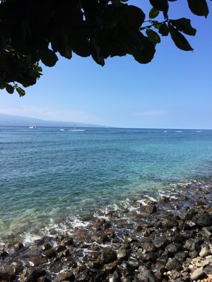MAR HAWAII 1