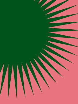 SOL VERDE