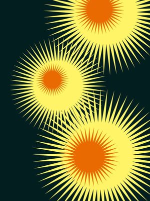 FLOR-SOL