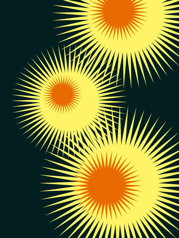 FLOR-SOL