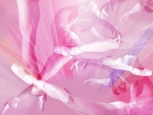 BALLET ROSA2