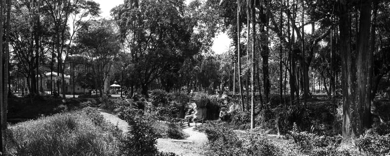 PARQUE DA LUZ - SP