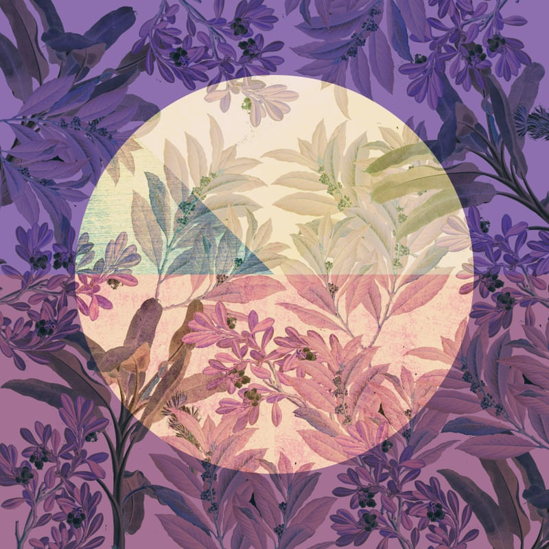 CIRCLE LEAVES 008