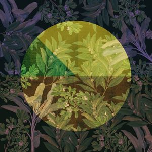 CIRCLE LEAVES 005