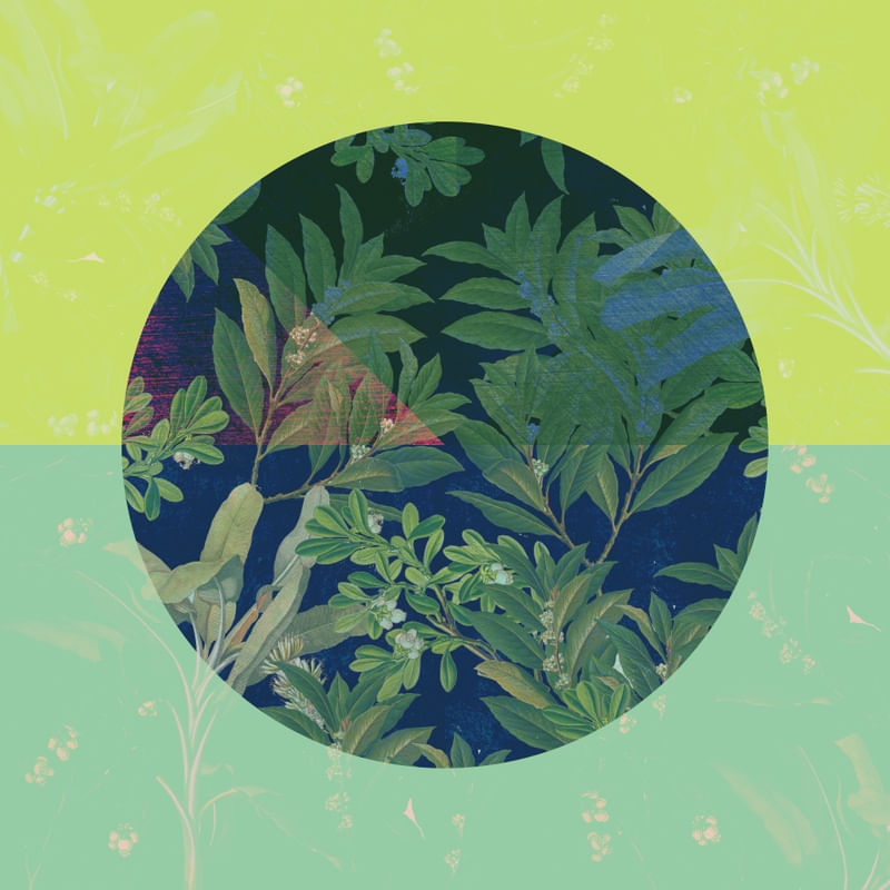 CIRCLE LEAVES 002