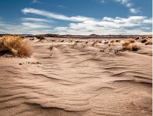 SOLITUDE ÁRIDA