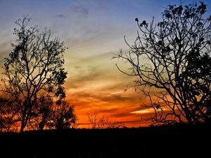 CREPÚSCULO NO CERRADO