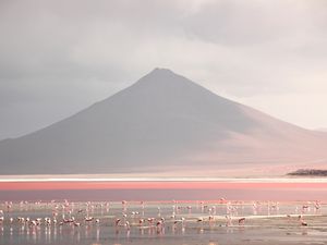 LAGUNA ROSA