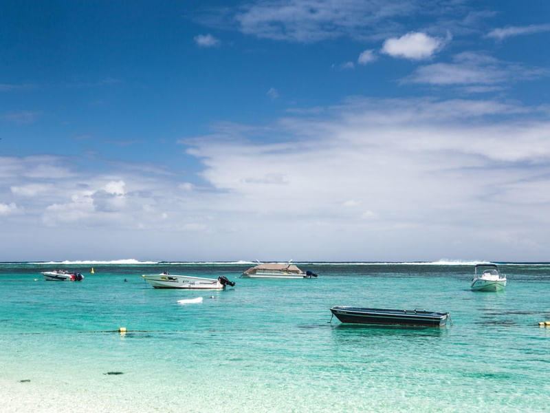 BARCOS