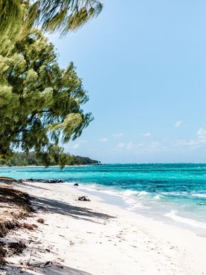 ÎLE AUX CERFS