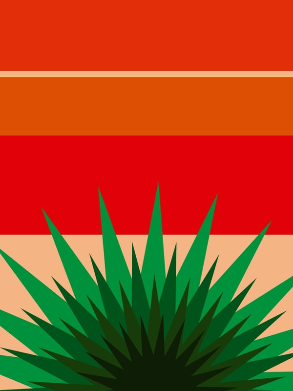 LARANJA TROPICAL