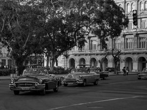 CHARMOSA HAVANA