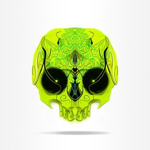 COLORED SKULL 01