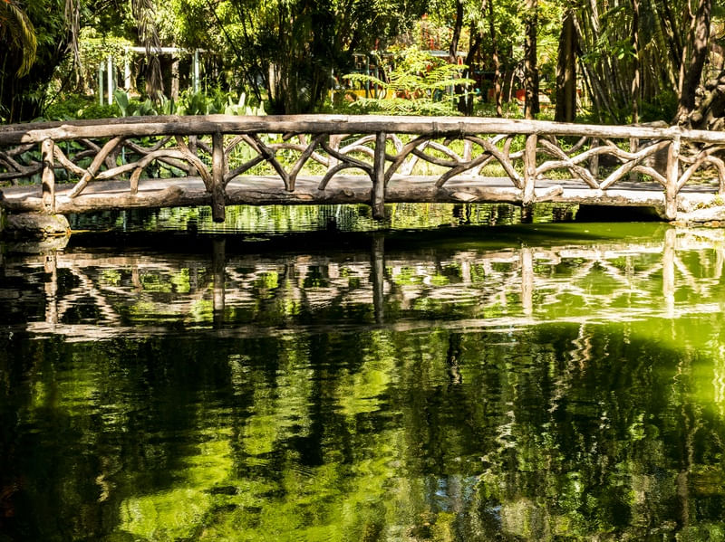 PEQUENA PONTE (P)