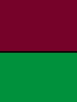 ROSA VERDE