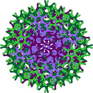 ESTRELAS ENTRELAÇADAS