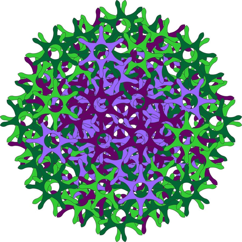 ESTRELAS ENTRELAÇADAS