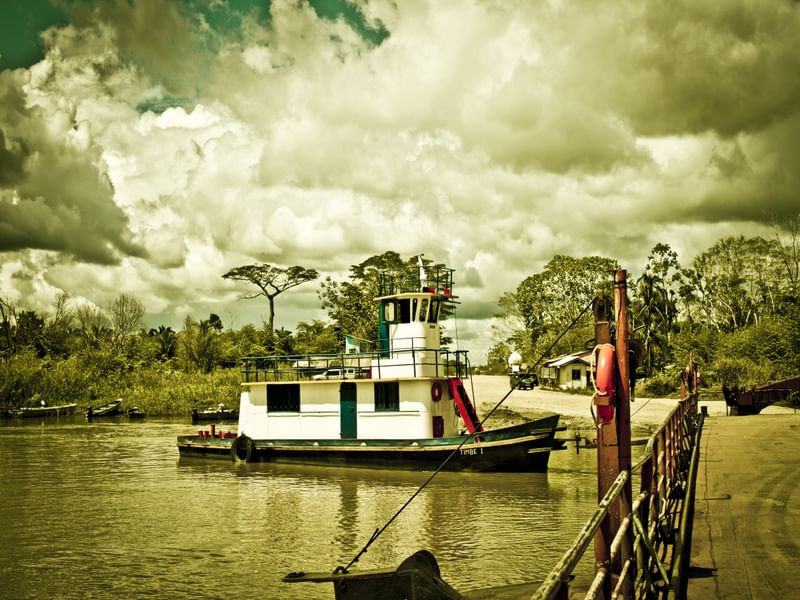 JUNGLE RIVER