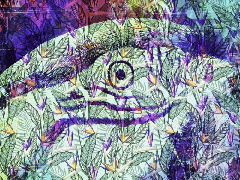 TROPICAL