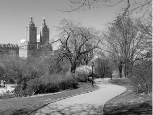 CAMINHADA NO CENTRAL PARK