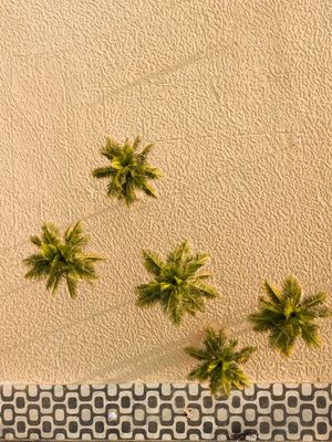 PARADISE IPANEMA