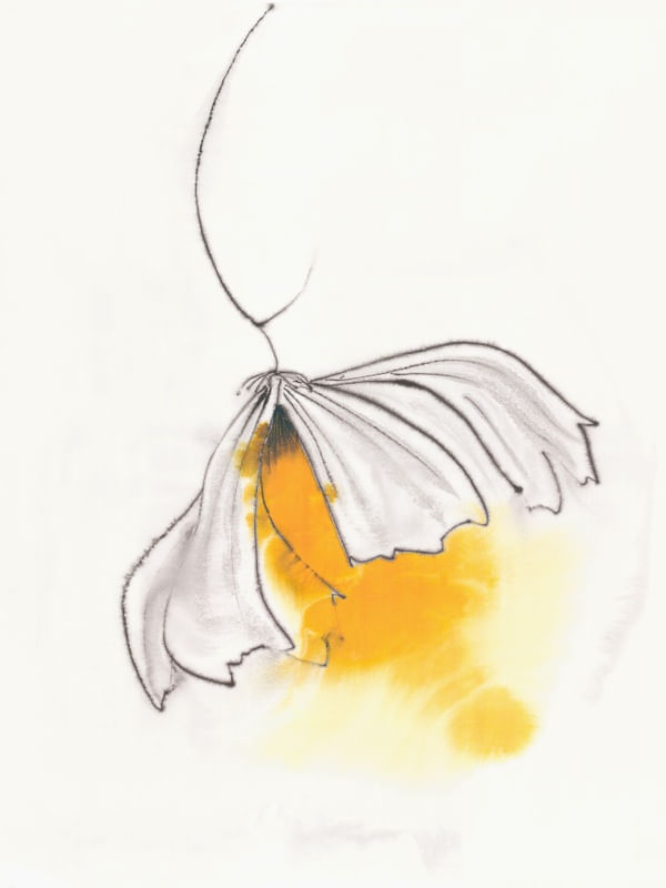 PERIANTO MA