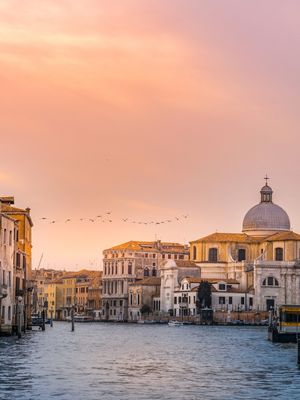 BIRDS IN VENICE