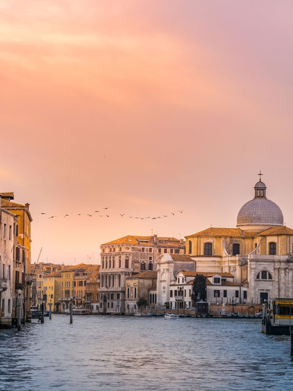 BIRDS IN VENICE