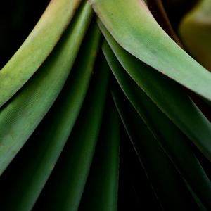 JARDIM BOTÂNICO FOLHA 22