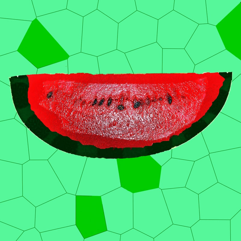 DIFFERENT WATERMELON